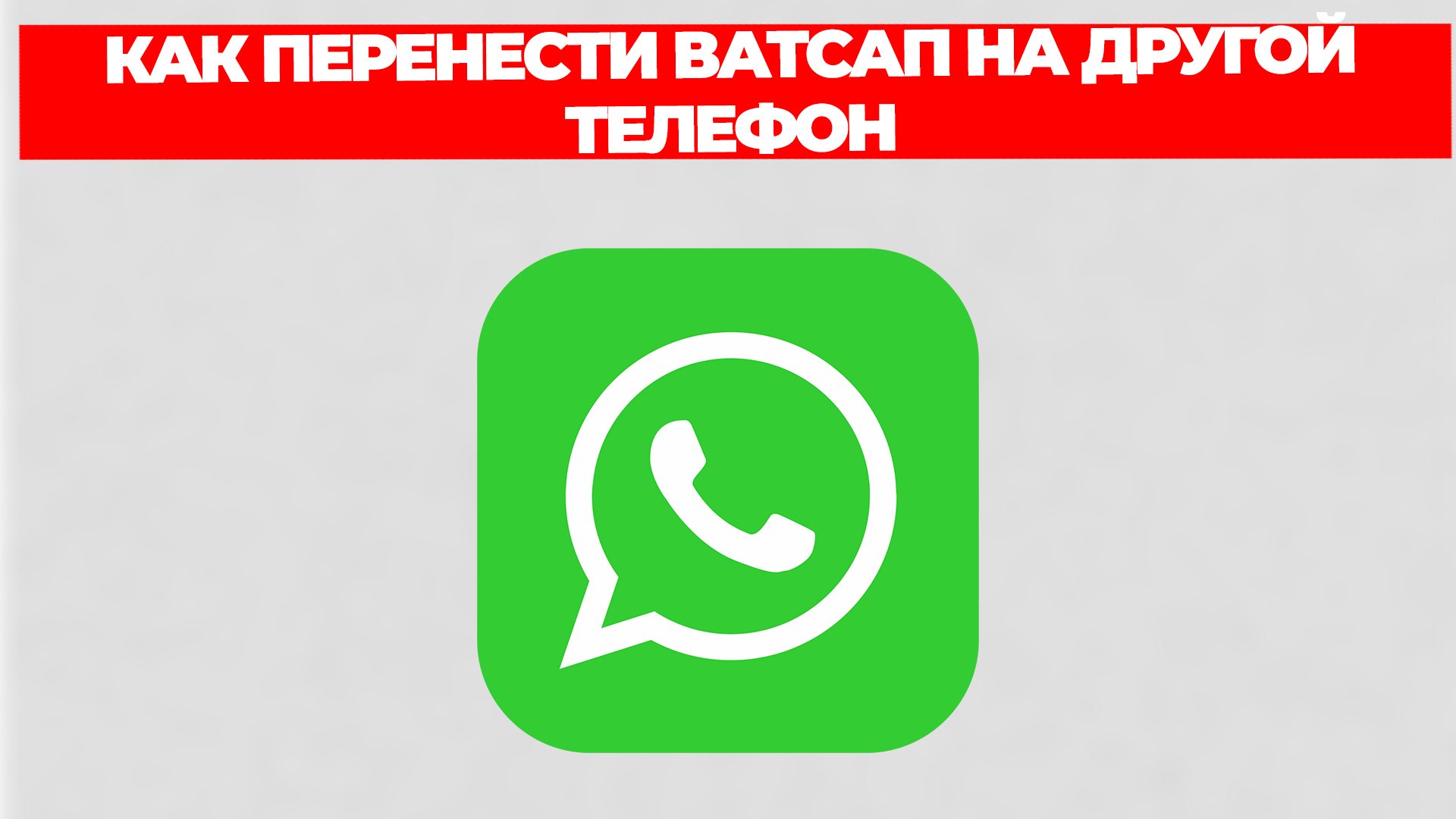 Всезнающий Енот