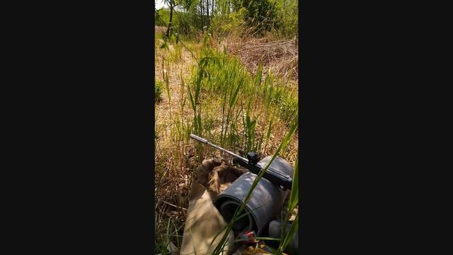 Глушитель на Ruger 10/22 Takedown. Titan 22 Lux смотреть онлайн