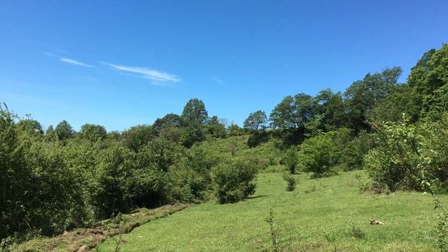 Участок 2,4 ГА, ул Пензенская смотреть онлайн