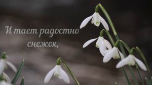 С 8 Марта! Поздравление! Международный женский день