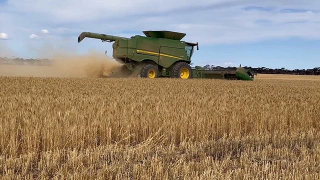 "Gold Fields to Golden Fields" смотреть онлайн