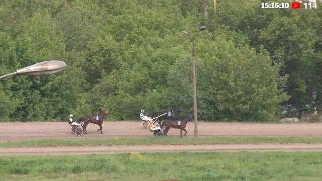02.06.23: Прямая трансляция из Раменского. Перед большими бегами. Ч.2 смотреть онлайн