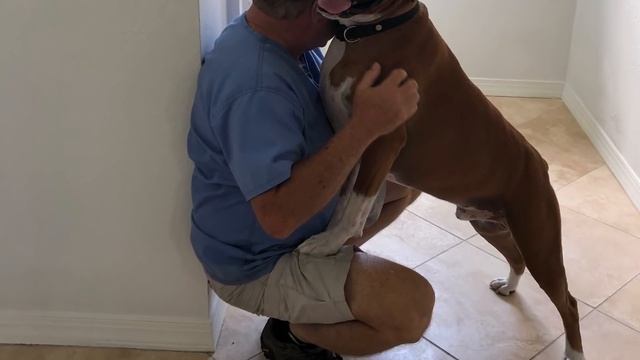 Орхо отпуск во Флориде часть 2. Орхидеи в магазинах и у друзей, поиск жилья, дома на продажу . смотреть онлайн