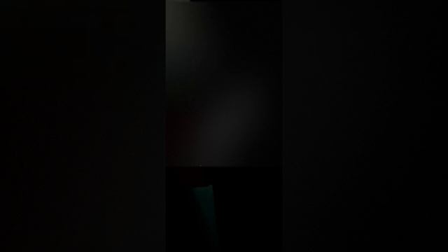 День добрых дел. Тюльпаны на 8 марта. Няндома. Где купить? смотреть онлайн