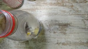 БЕРЁЗОВЫЙ СОК "КАК ЛИМОНАД"/САМЫЙ ПРОСТОЙ СПОСОБ ПРИГОТОВЛЕНИЯ И ХРАНЕНИЯ/БЕРЕЗОВЫЙ КВАС