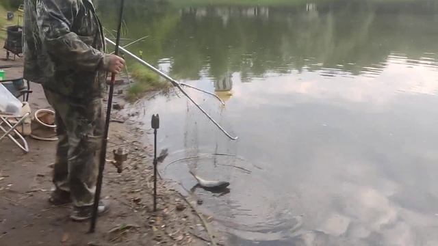 5.04.22 Основной водоём!Карп и линь ловится хорошо! смотреть онлайн