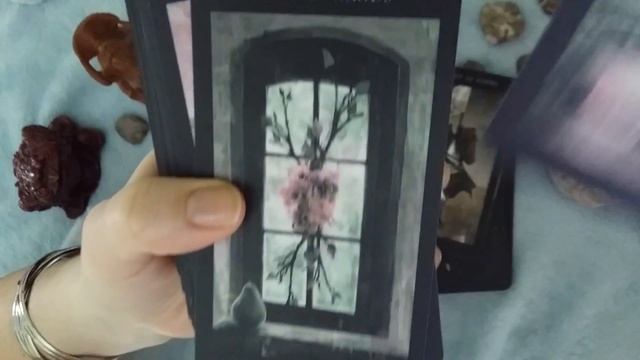 Обзор колоды таро Darkness of light tarot (Темнота света) смотреть онлайн