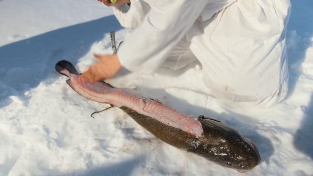 ПОСЛЕДНИЙ ЛЕД! ГОТОВИМ НАЛИМА В БЕКОНЕ! Планы на год. КТО ЖЕ НАПАРНИК НА PAL 2021? Петр Денисов. 4K смотреть онлайн
