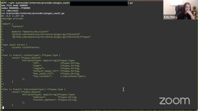 HashiCorp Live - Terraform Plugin SDK Team