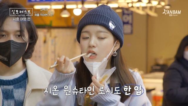[싱포레스트] 노래만 잘 하는 줄 알았는데 여행까지 알차게 하는 싱포레스트의 본격 K-투어! 전주에서 시흥까지, 거미와 원슈타인의 여행 Pick은?! смотреть онлайн