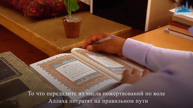 Учёные университета «Дар уль-Улюм» города Захедан призывают поддержать университет материально смотреть онлайн