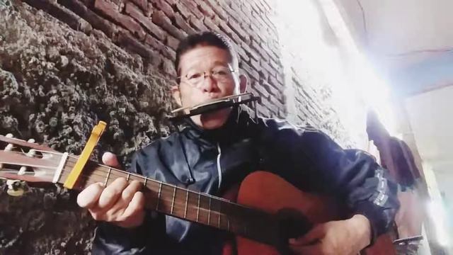 Down by the salley garden..( instrumental ) смотреть онлайн