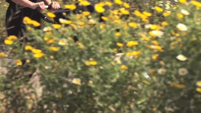 Bumbleride Indie 1 смотреть онлайн