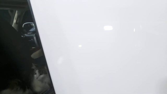 ЦЕНЫ НА БЕНЗИН В ШТАТЕ АЙДАХО. ДИАЛОГ С РЭДНЕЧКОЙ смотреть онлайн