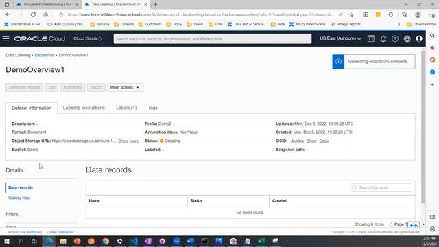 Demo of Key Value Labeling Dataset смотреть онлайн