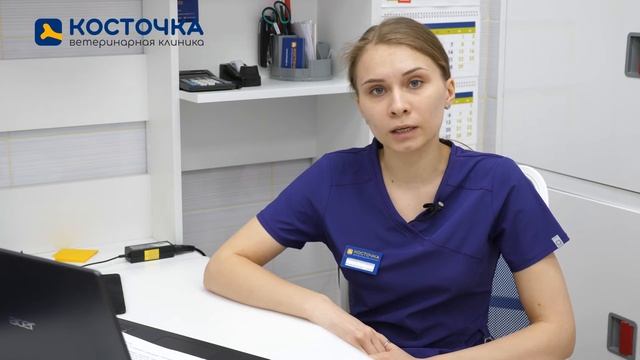 Зачем обрабатывать кошек и собак от гельминтов (глистов) смотреть онлайн