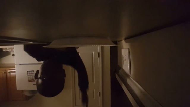 I. Am. Sick. Can. I. GIT. FIVE смотреть онлайн