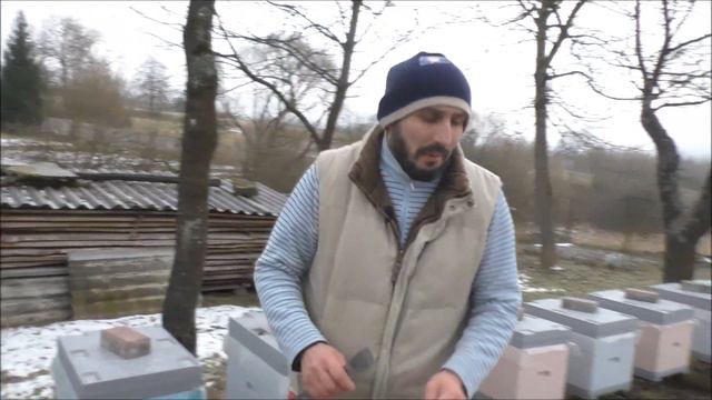 Продолжаем тестировать пчелосемьи 23.01.20 смотреть онлайн