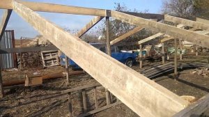 Бюджетная теплица для выгонки лука на перо