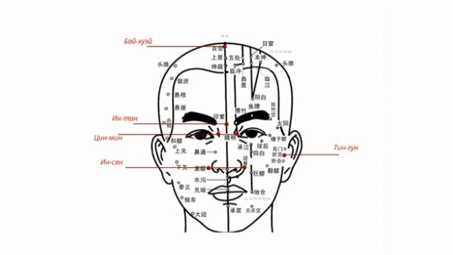 Введение в курс китайского самомассажа смотреть онлайн