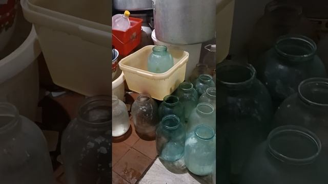 День новый  , а заботы как всегда старые, !!!