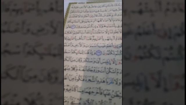 Машаллах красиво читает Коран смотреть онлайн