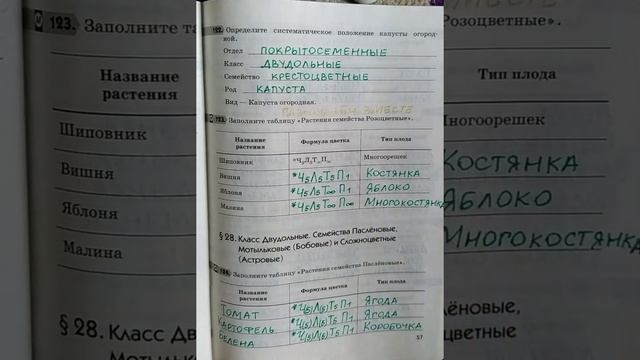 6 класс. Биология. ГДЗ. Рабочая тетрадь. Пасечник. Параграф27. С комментированием. смотреть онлайн