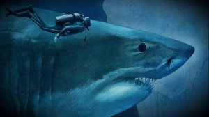 Динозавры. Мегалодон. Megalodon