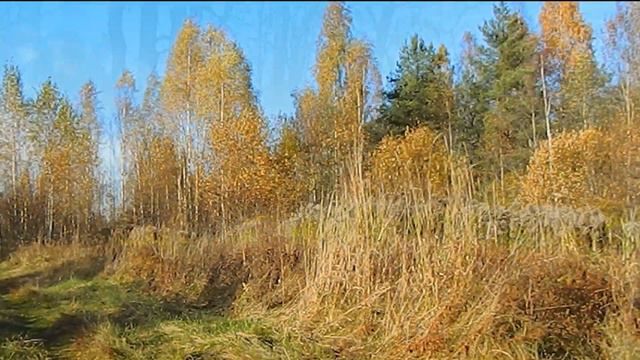 Ambient Synth & Choir Relaxing Music Ever 2 Minutes Meditation Relaxation смотреть онлайн