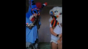 подборка видео из лайка|рапторы и фурри|№8