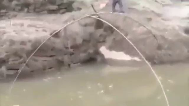 Паук для рыбалки снасть и тактика ловли