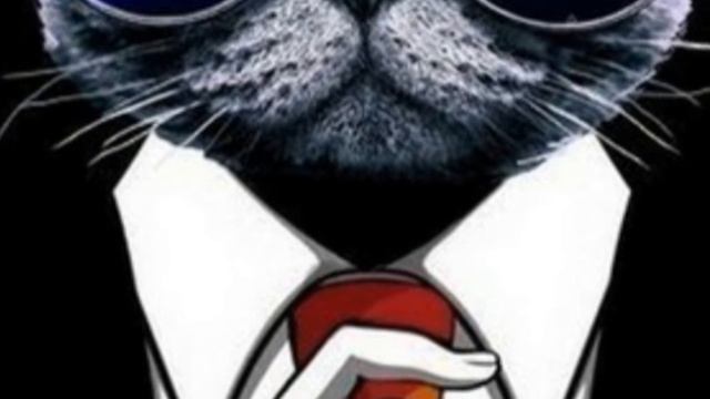 Хабаровские живодёры