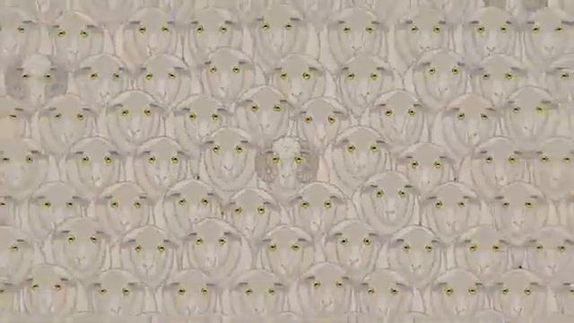 Вилы или грабли но всёже грабли