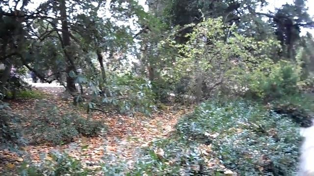 г. Ялта. Зимний Крым. Никитский ботанический сад. смотреть онлайн