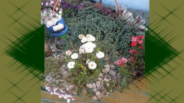 🌹Доброе весеннее утро🌹Мира и счастья🌹