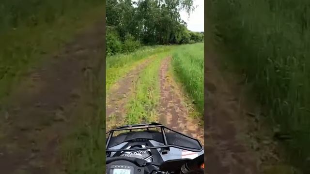 Квадрик #enduro #красноярск #regulmoto смотреть онлайн