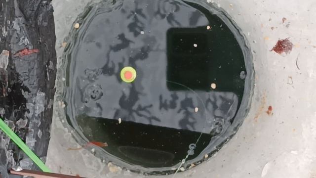 Межура зимний карась. Попал на раздачу зимнего карася! Пулеметный клёв)) Зимняя рыбалка 12.01.2023 смотреть онлайн