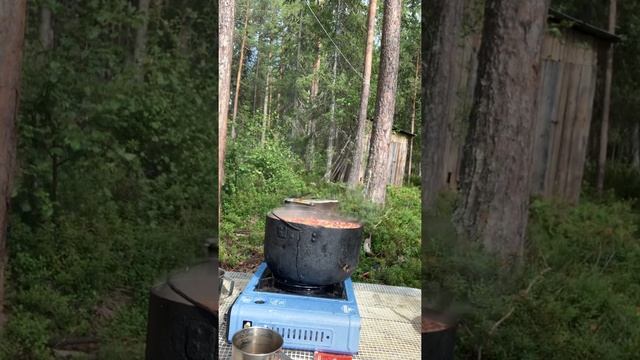 КОМПОТ ИЗ ЛЕСНЫХ ЯГОД смотреть онлайн
