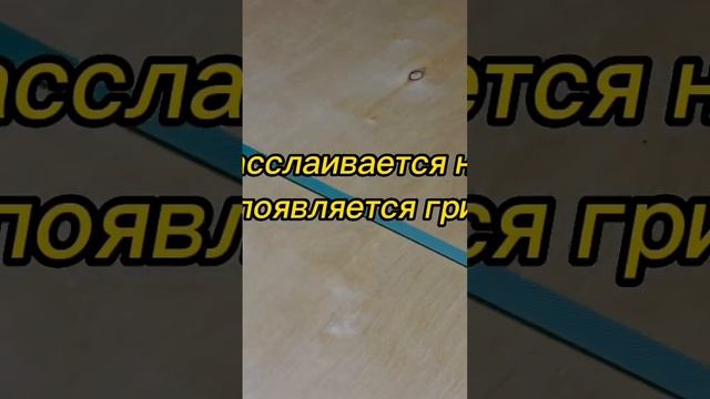Фанера фк смотреть онлайн