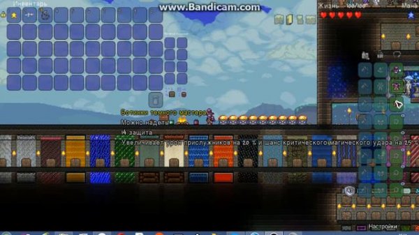 Косплеи в Террарии