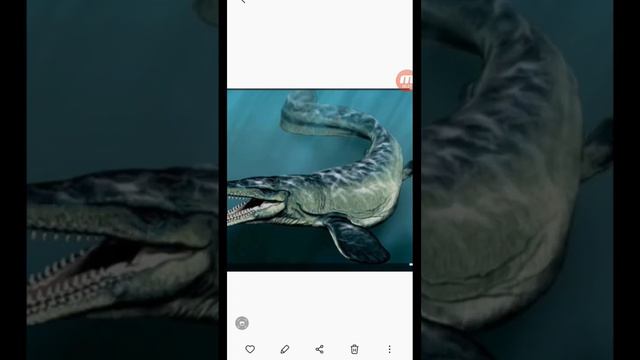эти большие рыбы существуют в Тихом океане учёные пытаются узнать правда или нет смотреть онлайн