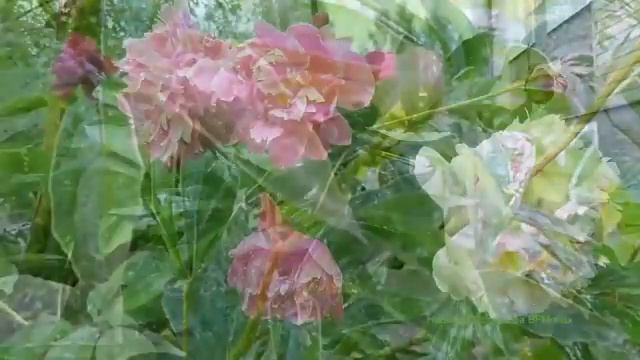 НЕЖНАЯ МУЗЫКА ДЛЯ СНА РАССЛАБЛЕНИЯ !!