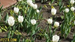 Экскурсии по Белгороду