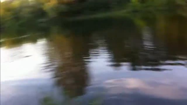 Нападение бобров смотреть онлайн