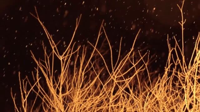 ХРИСТОС РАЖДАЕТСЯ, СЛАВИТЕ! Орский Иверский женский монастырь (2020) смотреть онлайн