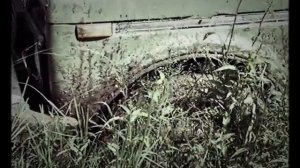 Нива сток, Cordiant Off-Road 215/65 r16