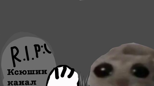 КСЮШИН КАНАЛ ВЕРНИСЬ/ кстати подпешитесь на Ксюшу/ канал Holikayka