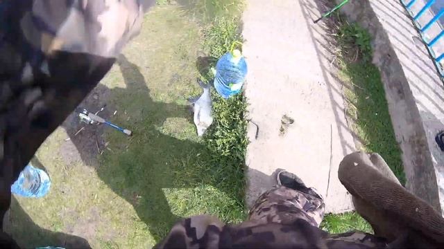 Оторвались на поплавок. Ловля уклейки и бонусный лещ. смотреть онлайн