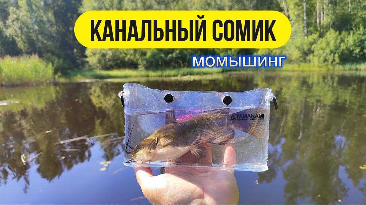 #мормышинг | Канальный сомик спиннингом на мормышку | смотреть онлайн