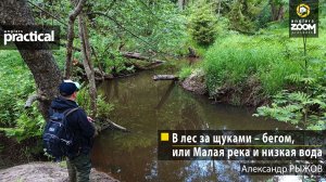 В лес за щуками – бегом, или Малая река и низкая вода. Александр Рыжов. Anglers Practical